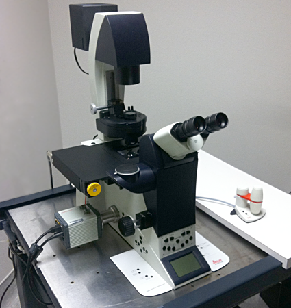 Leica DMI6000B Motorized Inverted Microscope | RII Core Facilities ...