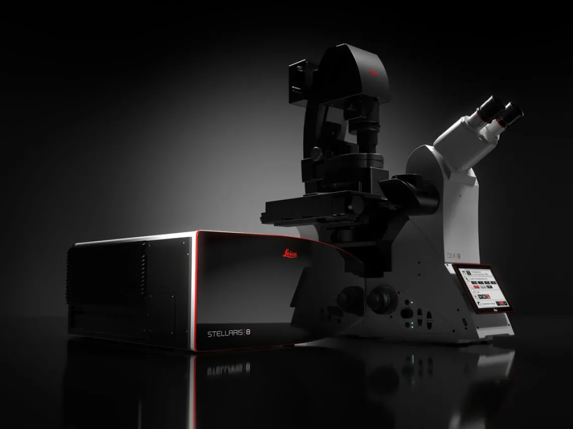 Leica Stellaris 8 confocal microscope