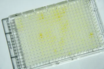 ELISA Plate